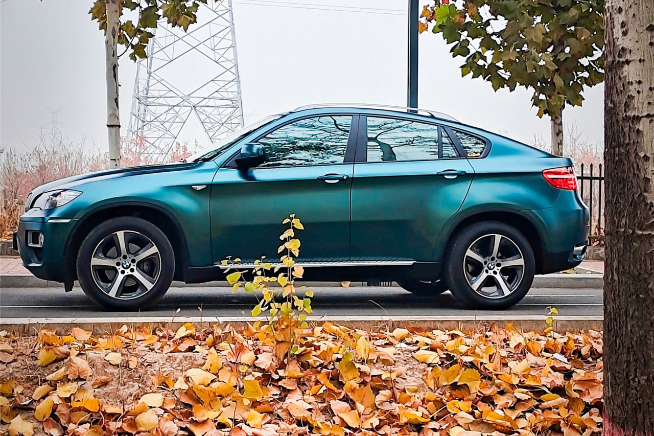 Decal Teckwrap Forest Green ECH19  - ảnh 5