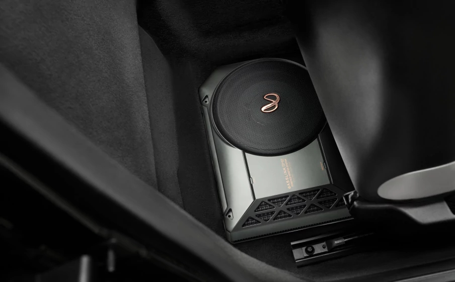 Sub Infinity Basslink SM2 - ảnh 5