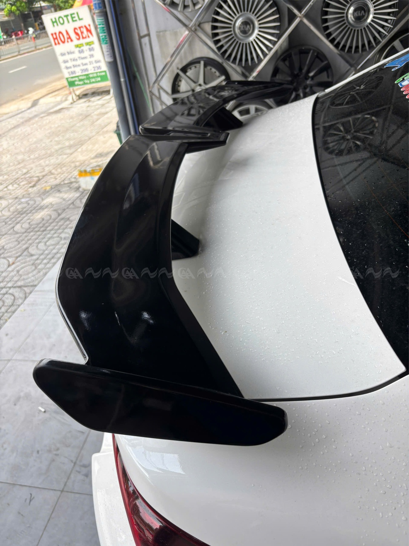 Đuôi cá thông dụng cao lõm mẫu 2 đen bóng  - ảnh 4