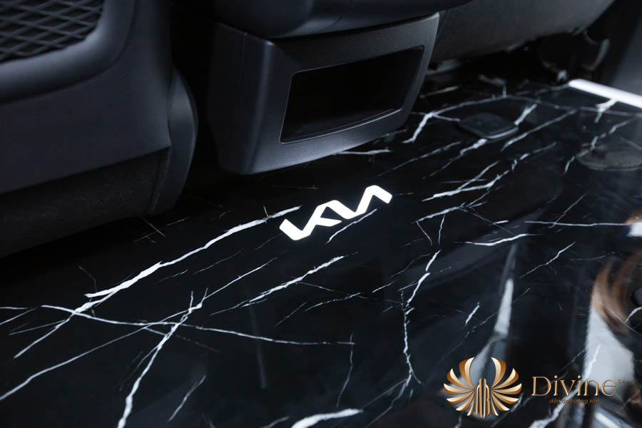 Sàn Limousine Carnival Họa Tiết Vân Đá - DVF101 - ảnh 1