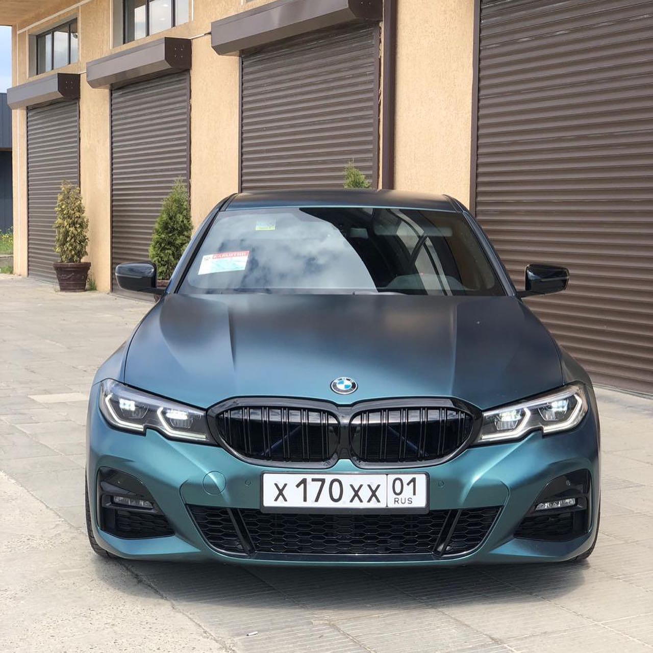 Decal Teckwrap Forest Green ECH19  - ảnh 2