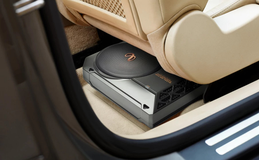 Sub Infinity Basslink SM2 - ảnh 6